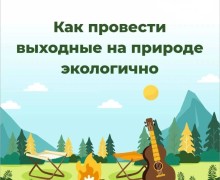 Как провести выходные на природе экологично: советы от регоператора