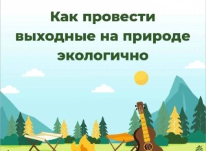 Как провести выходные на природе экологично: советы от регоператора