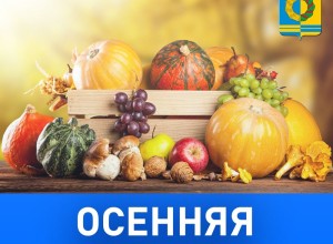 ОСЕННИЕ ЯРМАРКИ