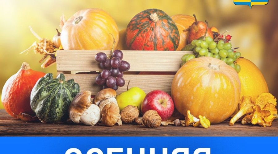 ОСЕННИЕ ЯРМАРКИ