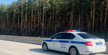 В Заречном пройдут рейдовые мероприятия для снижения аварийности с участием нетрезвых и не имеющих прав водителей