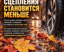 Мокрые листья на дорогах Заречного: как безопасно передвигаться осенью