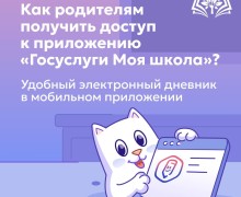 Свердловские школы переходят на единое приложение электронного дневника
