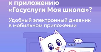 Свердловские школы переходят на единое приложение электронного дневника