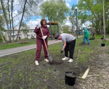 В субботу, 17 мая, в Курманском парке высадили яблоневую аллею