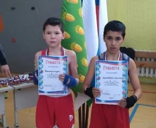 Открытый турнир по боксу