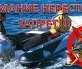 В России вводится нерестовый запрет: ограничения для рыбаков на Урале