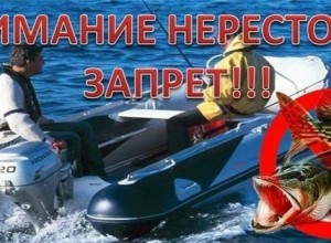 В России вводится нерестовый запрет: ограничения для рыбаков на Урале