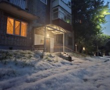 Вам кажется, что в Екатеринбурге многовато тополиного пуха?