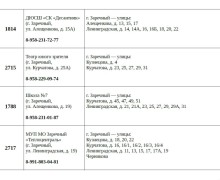 Как проголосовать на дому 18–20 сентября: условия и сроки