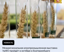 XIII Межрегиональная агропромышленная выставка УрФО пройдёт в Екатеринбурге в октябре на площадке МВЦ «Екатеринбург – ЭКСПО»