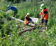 Воспитанники школьного лесничества Кедр помогли провести уборку на правом берегу водохранилища