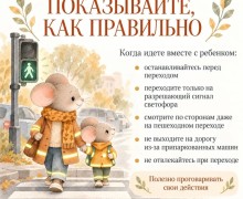 Пример взрослых помогает детям освоить правила дорожной безопасности