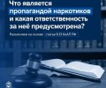 Ответственность за пропаганду наркотиков: напоминание жителям Заречного