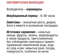 По данным Роспотребнадзора, ежегодно регистрируются десятки тысяч случаев острых кишечных инфекций, особенно в летний период