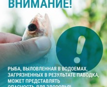 Специалисты предупредили жителей Свердловской области об опасности употребления рыбы из паводковых вод