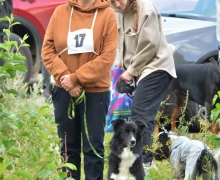 В субботу, 16 августа, под Асбестом прошла Гонка героев, в которой участвовали команды человек и собака