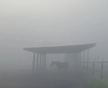 В понедельник Заречный и близлежащие деревни сёла накрыл туман