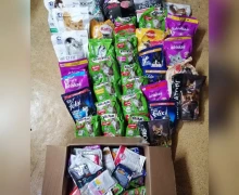 Зооволонтёры благодарят детей за корм для животных