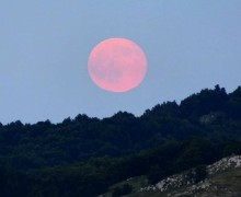 В небе над Свердловской областью взойдет «Розовая луна»