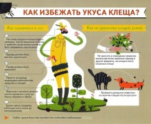 За неделю с 26 июня по 2 июля клещи покусали 9 жителей Заречного, среди них трое детей
