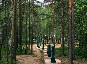 Столбы на смену соснам