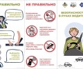 Очередное профилактическое мероприятие «Ребенок-пассажир» проведено сотрудниками Госавтоинспекции вблизи детской поликлиники города Заречного