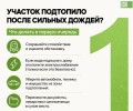 Подтопление участка после дождя: инструкция для жителей