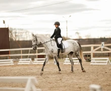 Воспитанницы клуба Добрая лошадь привезли 13 медалей с соревнований!