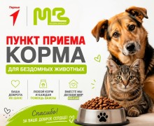 В Молодёжном центре Заречного начал работать постоянный пункт сбора корма для бездомных животных