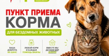 В Молодёжном центре Заречного начал работать постоянный пункт сбора корма для бездомных животных