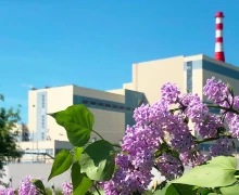 Собрали фотографии ко дню рождения!