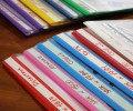 Избирательный комиссии Заречного полностью готовы к проведению выборов по новой системе