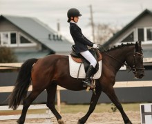 Воспитанницы клуба Добрая лошадь привезли 13 медалей с соревнований!