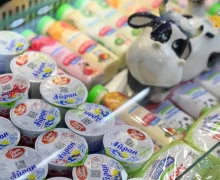 Свердловские пастила, мороженое, сыры и мясные деликатесы признаны лучшими в УрФО