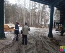 Призыв лыжников сохранить лыжную трассу поддержало более 300 зареченцев