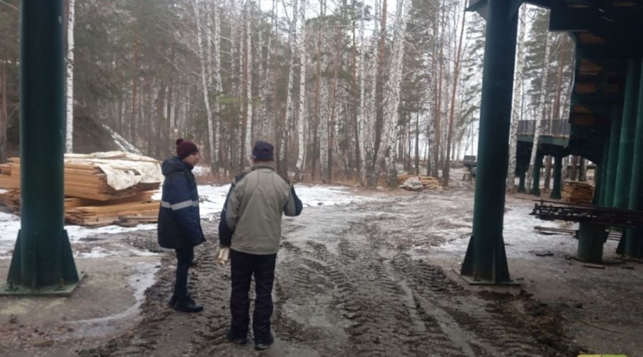 Призыв лыжников сохранить лыжную трассу поддержало более 300 зареченцев