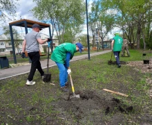 В субботу, 17 мая, в Курманском парке высадили яблоневую аллею