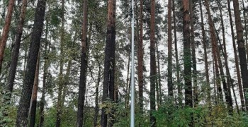 В лесопарке у дома на Лермонтова, 29 установили освещение