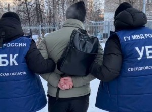 Жена мэра одного из городов свердловской области отдала мошенникам 14 миллионов