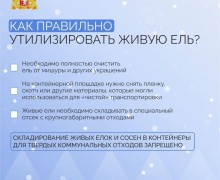 Свердловчане оформили в территориальных лесничествах покупку почти 13 тысяч елей и сосен, чтобы украсить свои дома к Новому году