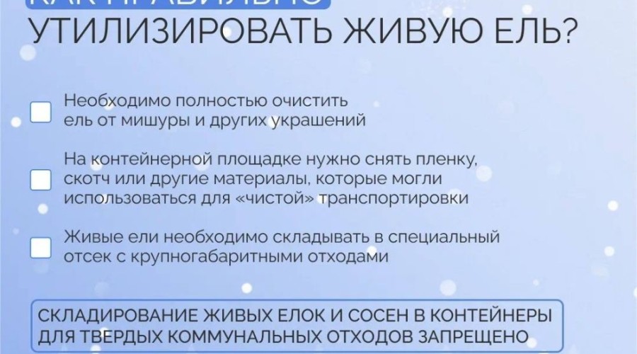 Свердловчане оформили в территориальных лесничествах покупку почти 13 тысяч елей и сосен, чтобы украсить свои дома к Новому году