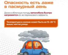 Памятка «Ни минуты без присмотра» напоминает о рисках оставления детей и домашних питомцев в автомобиле