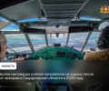 Более миллиарда рублей направлено на охрану лесов от пожаров в Свердловской области в 2025 году