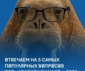 Твои знания — билет на Северный полюс