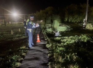 Сотрудники Госавтоинспекции Заречного устанавливают обстоятельства ДТП с участием несовершеннолетних водителя и пешехода