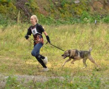 В субботу, 16 августа, под Асбестом прошла Гонка героев, в которой участвовали команды человек и собака