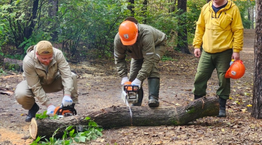 Шарташский лесной парк стал центральной площадкой всероссийского субботника «Зеленая Россия» в нашем регионе