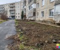 Высаживать новые деревья после ремонта теплосетей не будут