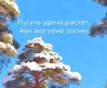 За окном холода, в телефоне – теплота